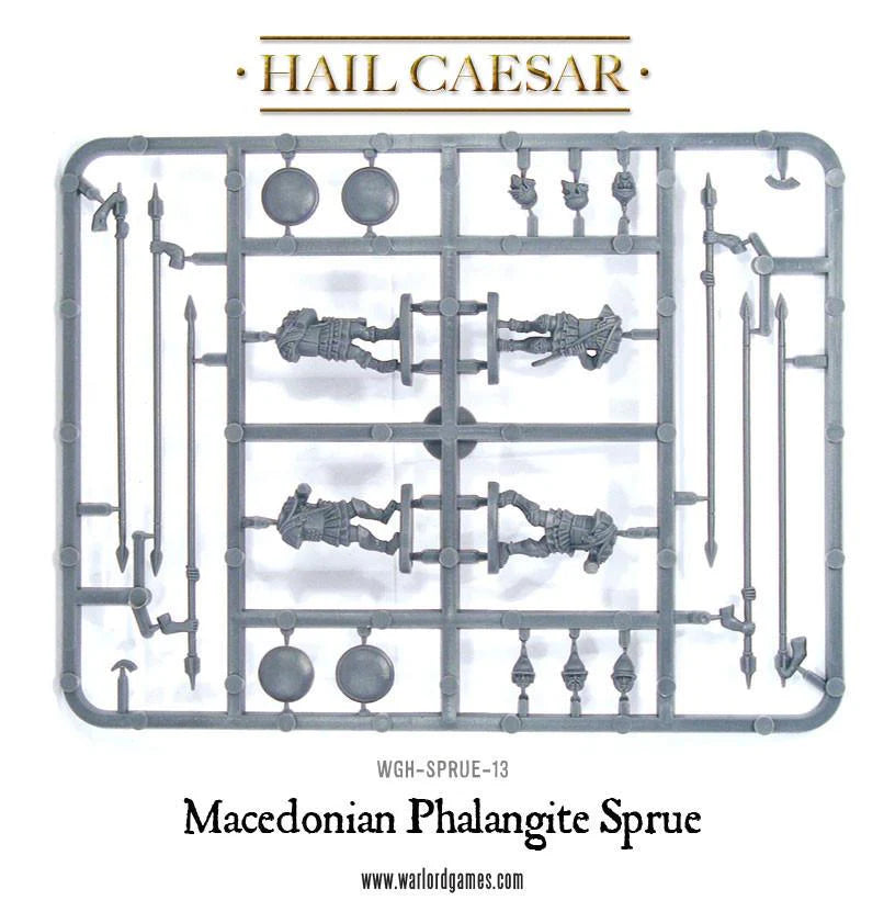 Macedonian Phalangite Sprue WGH-SPRUE-13 – szara plastikowa ramka z elementami falangity macedońskiego: tułowia, okrągłe tarcze aspis, długie sarrissy, głowy w hełmach trackich i frygijskich oraz elementy uzbrojenia, 28mm Hail Caesar