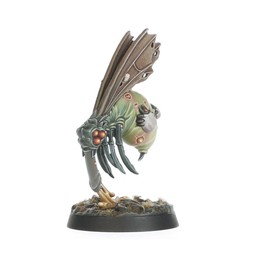 Bug-Eyed Dripterus - demonowa mucha Nurgla z brązowymi skrzydłami pomarańczowymi oczami i zielonymi szponami