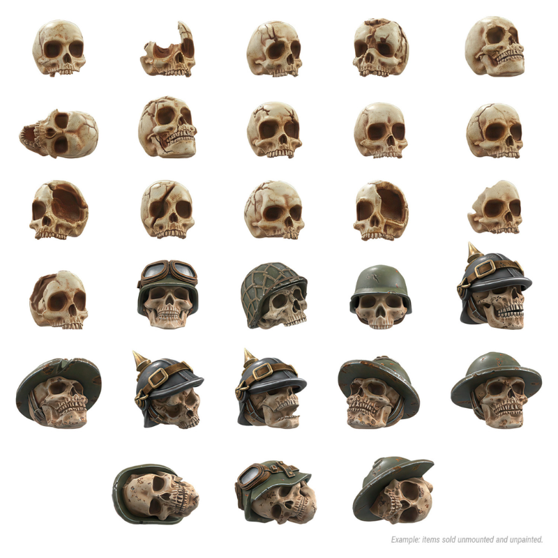 Battlefield Skulls Humans 1:48-1:35 – 28 modeli czaszek ludzkich pomalowanych w kolorze kości: zwykłe, pęknięte, z hełmami (lotnik, siatka, pruski, tropikalny), widok na białym tle