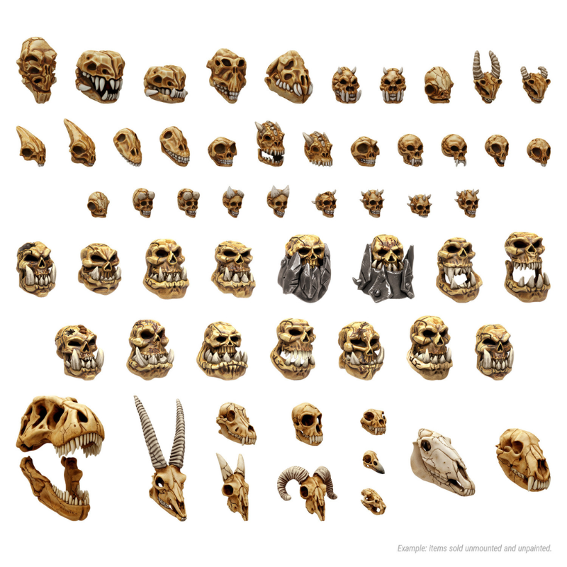 Battlefield Creature Skulls 1:48-1:35 – 57 modeli czaszek stworzeń pomalowanych w kolorze kości: demony, bestie, T-Rex, antylopa, owca, ptak, widok na białym tle, niepomalowane