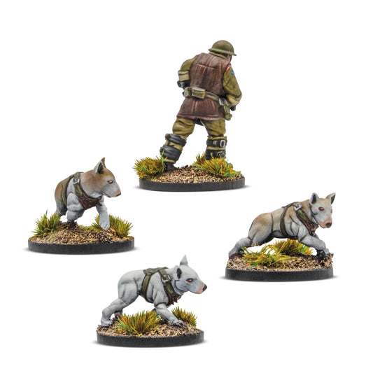 Konflikt '47 Cerberus Squad 453010608 – widok z tyłu: przewodnik w hełmie Brodie z niebieską naszywką Commonwealth na plecach brązowej kamizelki, pas z ładownicami, oraz 3 psy bojowe Cerberus w szarych uprzężach z czerwonymi oczami – różne pozy ataku i czatowania, okrągłe podstawki z trawą, 28mm Warlord Games
