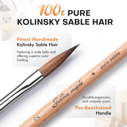Kolinsky Sable Spear Point & Round Brush Set Golden Maple – infografika: 100% Pure Kolinsky Sable Hair, zbliżenie na czubek pędzla Spear Point #2 z szerokim brzuchem i precyzyjnym szpicem (Finest Handmade Kolinsky Sable Hair – superior color loading), drewniany uchwyt bukowy z grawerem "Golden Maple / pure sable" (Durable, ergonomic – The Beechwood Handle), białe tło
