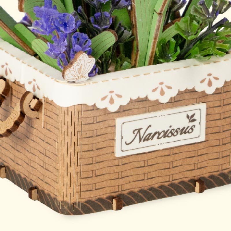 Narcyz Narcissus Rowood TF002 – zbliżenie na żółty kwiat narcyza w pełnym rozkwicie z detalami płatków i kielicha