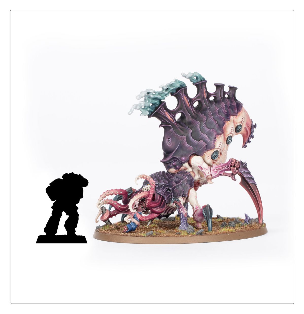  Psychophage Tyranids - porównanie rozmiarów sylwetka Space Marine obok modelu Psychophage fioletowo-różowe ciało grzbietowe kominy z turkusowymi sporami brązowa podstawka owalna Warhammer 40K
