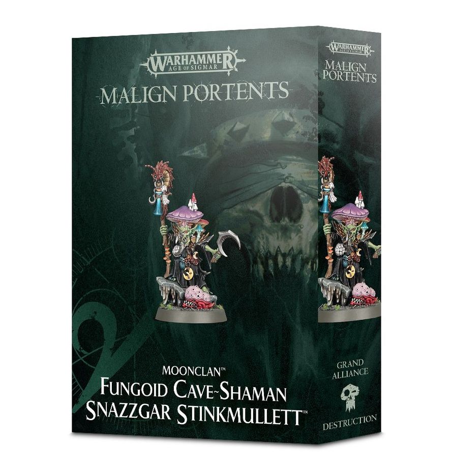 Snazzgar Stinkmullett - opakowanie Warhammer Age of Sigmar Malign Portents Moonclan