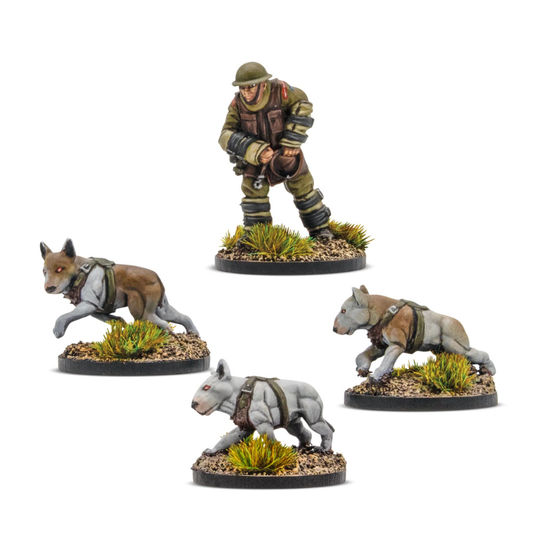 Konflikt '47 Cerberus Squad 453010608 – 4 pomalowane metalowe figurki: przewodnik w hełmie Brodie i mundurze oliwkowym z brązową kamizelką, pochylony w gotowości bojowej, oraz 3 psy bojowe Cerberus w szarych uprzężach – lis/owczarek w biegu i dwa buldogi w ataku, okrągłe podstawki z trawą, 28mm Warlord Games
