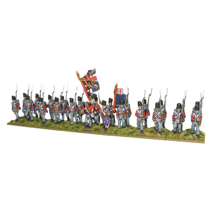 British Line Infantry Waterloo Black Powder Warlord Games – 24 figurki pełny oddział z flagami 28mm
