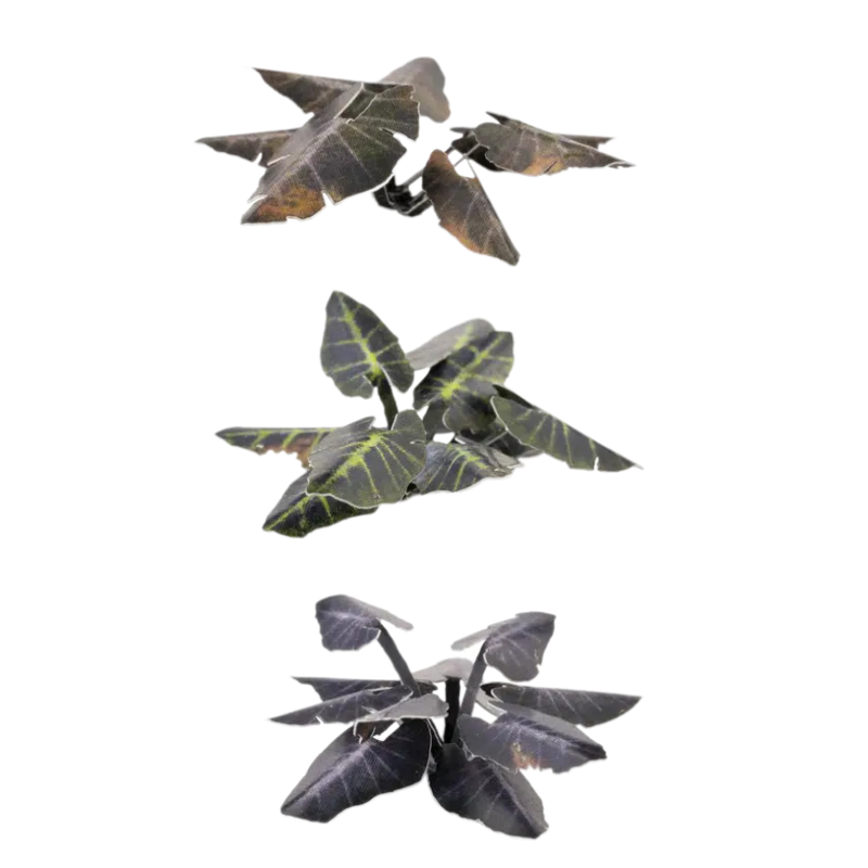 Black Magic Taro Laser Plants Gamers Grass - miniaturowe rośliny kolokazja jadalna fioletowo-czarne 3 rozmiary - Gamers Grass