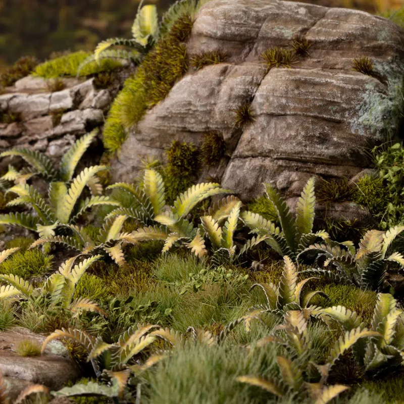 Deer Fern Laser Plants Gamers Grass - jelenia paproć diorama leśna sceneria skalne siedlisko - Gamers Grass