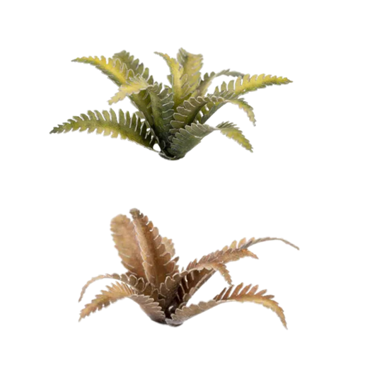 Deer Fern Laser Plants Gamers Grass - miniaturowe paprocie jelenia zielona i brązowa - Gamers Grass