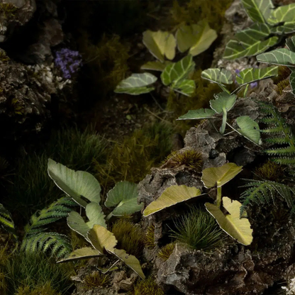 Elephant Ear Laser Plants Gamers Grass - ucho słonia diorama leśna sceneria tropikalna - Gamers Grass
