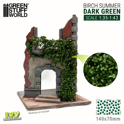 Ivy Foliage Dark Green Birch Large GSW - ruiny z ciemnozielonym bluszczem brzozowym i arkusz 140x70mm z realistycznymi liśćmi brzozy