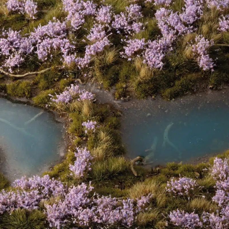 Lavender Flowers 6mm Gamers Grass - diorama z błękitnym strumieniem otoczonym gęstymi fioletowymi kępkami lawendy i żółtą trawą

