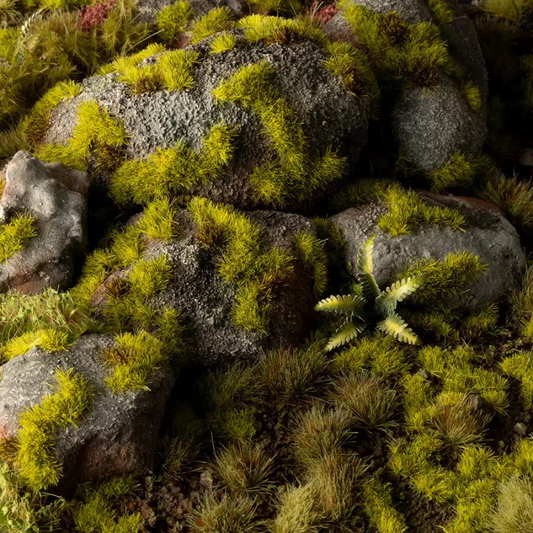 Moss Grass Tufts Gamers Grass - tufty 2mm mech na skałach diorama leśna sceneria - Gamers Grass