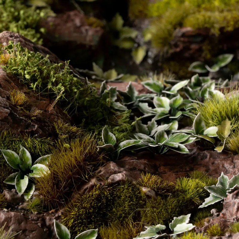 Plantain Lily Laser Plants Gamers Grass - lilia babka diorama leśna sceneria cieniste rośliny - Gamers Grass