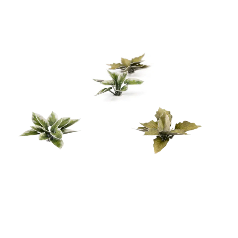 Plantain Lily Laser Plants Gamers Grass - miniaturowe lilie babka różne rozmiary i kolory - Gamers Grass