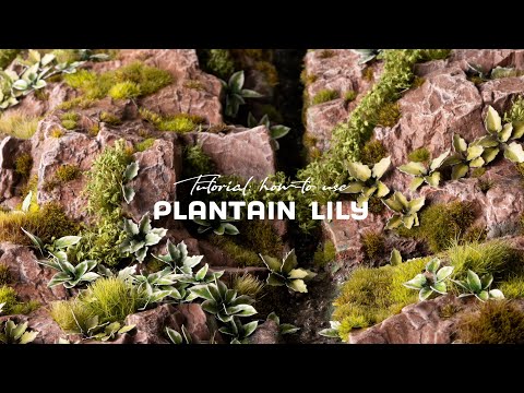 Plantain Lily Laser Plants Gamers Grass - tutorial jak używać lilii babka do podstawek miniatur - Gamers Grass