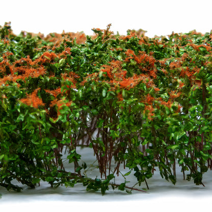 Tall Shrubbery Brown Green GSW - gęsty żywopłot z brązowo-zielonych krzewów miniaturowych z pomarańczowymi akcentami na białym tle