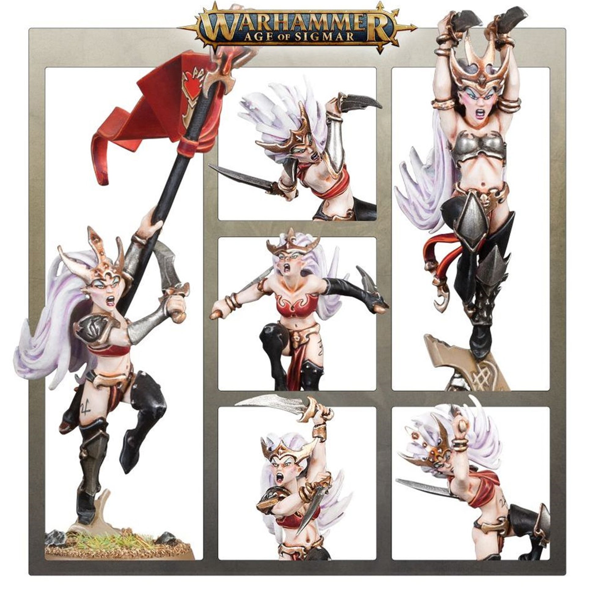 Witch Aelves Daughters of Khaine - plansza 6 kadrów: sztandar czerwony serce; Witch Aelf biała grzywa sztylet; Witch Aelf złota korona uniesione ręce; Witch Aelf czerwona zbroja nóż; Witch Aelf złota korona sierp; Witch Aelf biała grzywa sztylet Age of Sigmar