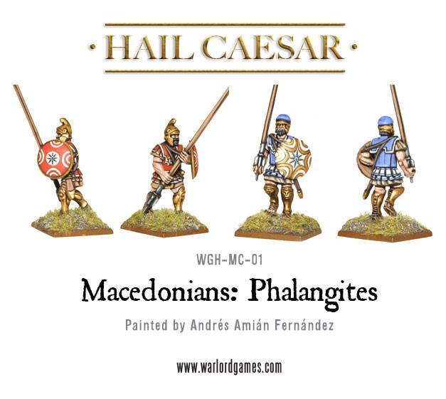 Macedonian Phalangites WGH-MC-01 – cztery pomalowane figurki falangitów macedońskich: widok z tyłu, złote hełmy trackie i frygijskie, tarcze aspis z gwiazdą vergińską i spiralami, niebieskie i czerwone tuniki, 28mm Hail Caesar
