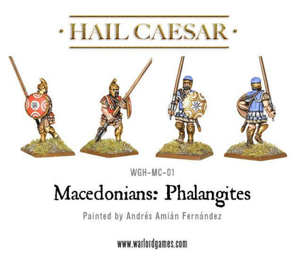 Macedonian Phalangites WGH-MC-01 – cztery pomalowane figurki falangitów macedońskich: widok z tyłu, złote hełmy trackie i frygijskie, tarcze aspis z gwiazdą vergińską i spiralami, niebieskie i czerwone tuniki, 28mm Hail Caesar
