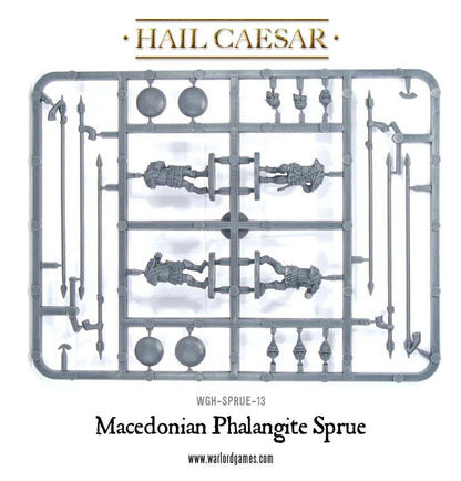 Macedonian Phalangite Sprue WGH-SPRUE-13 – szara plastikowa ramka z elementami falangity macedońskiego: tułowia, okrągłe tarcze aspis, długie sarrissy, głowy w hełmach trackich i frygijskich oraz elementy uzbrojenia, 28mm Hail Caesar
