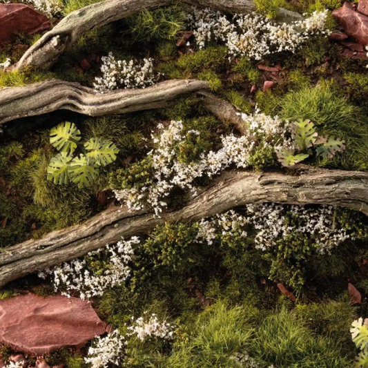 White Rose Flowers 6mm Gamers Grass - diorama leśna z korzeniami drzew i mchem pokryta białymi kępkami dzikiej róży wśród zielonych roślin i czerwonych liści
